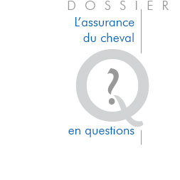 La responsabilité civile, BBP Avocats droit équin