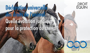 La Déclaration universelle des droits de l’animal. Quelle évolution juridique pour la protection du cheval ?
