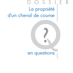 Quelle définition pour le propriétaire selon le Code des courses au galop ?