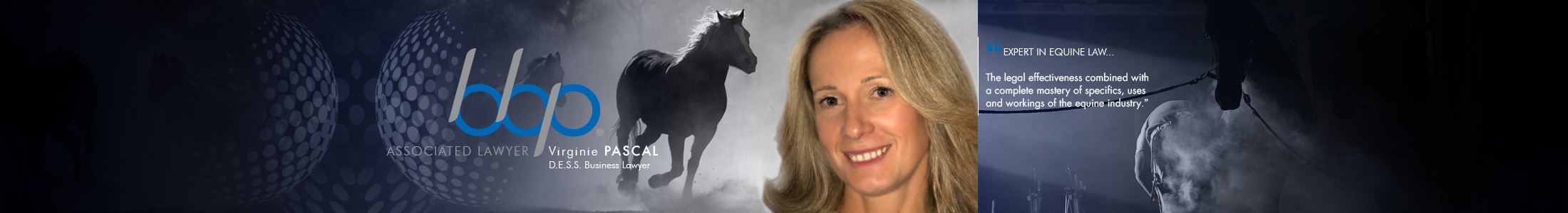 BBP Lawyers Expert in Equine Law